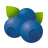icons8-blueberries-48