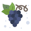 icons8-grapes-64