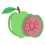 icons8-guava-64