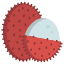 icons8-lychee-64