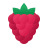 icons8-raspberry-48